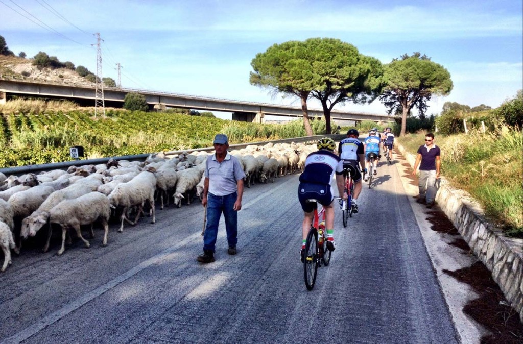 A shepherd near Monte Inici